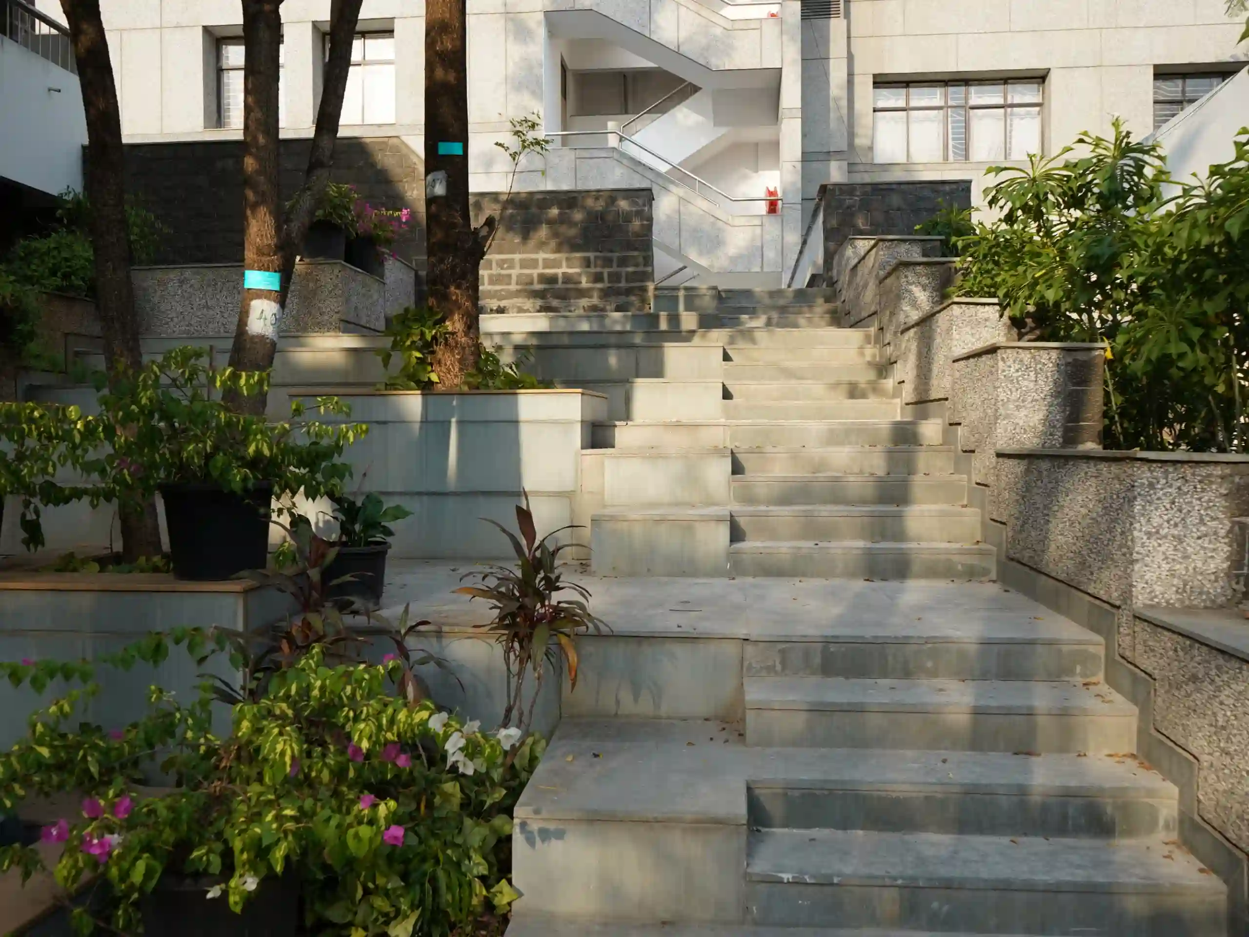 building